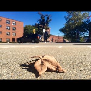 Meet your Posher, Xin